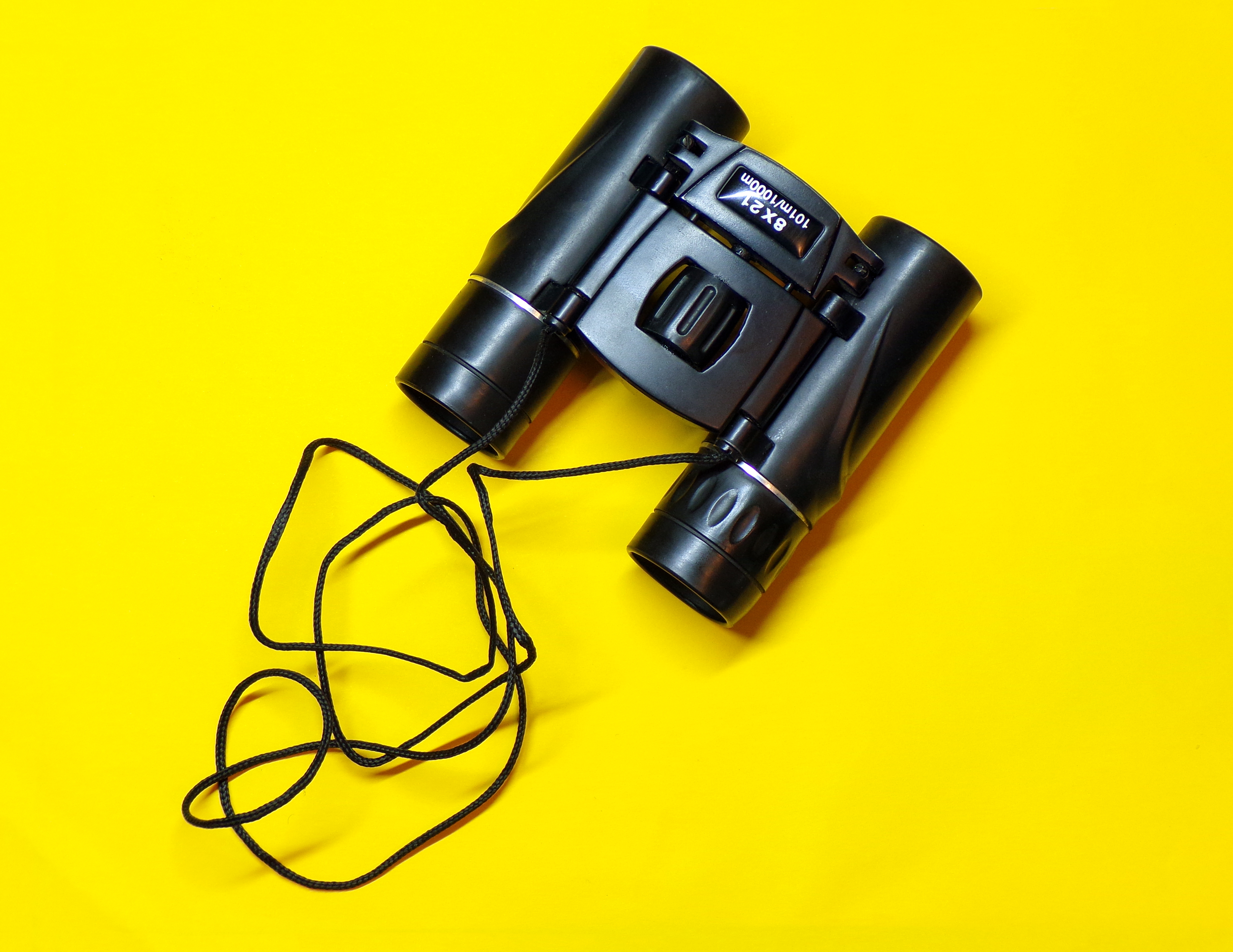 Shutterstock 1670893027