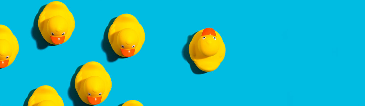 Shutterstock 1146561623 1600X400 1200X350