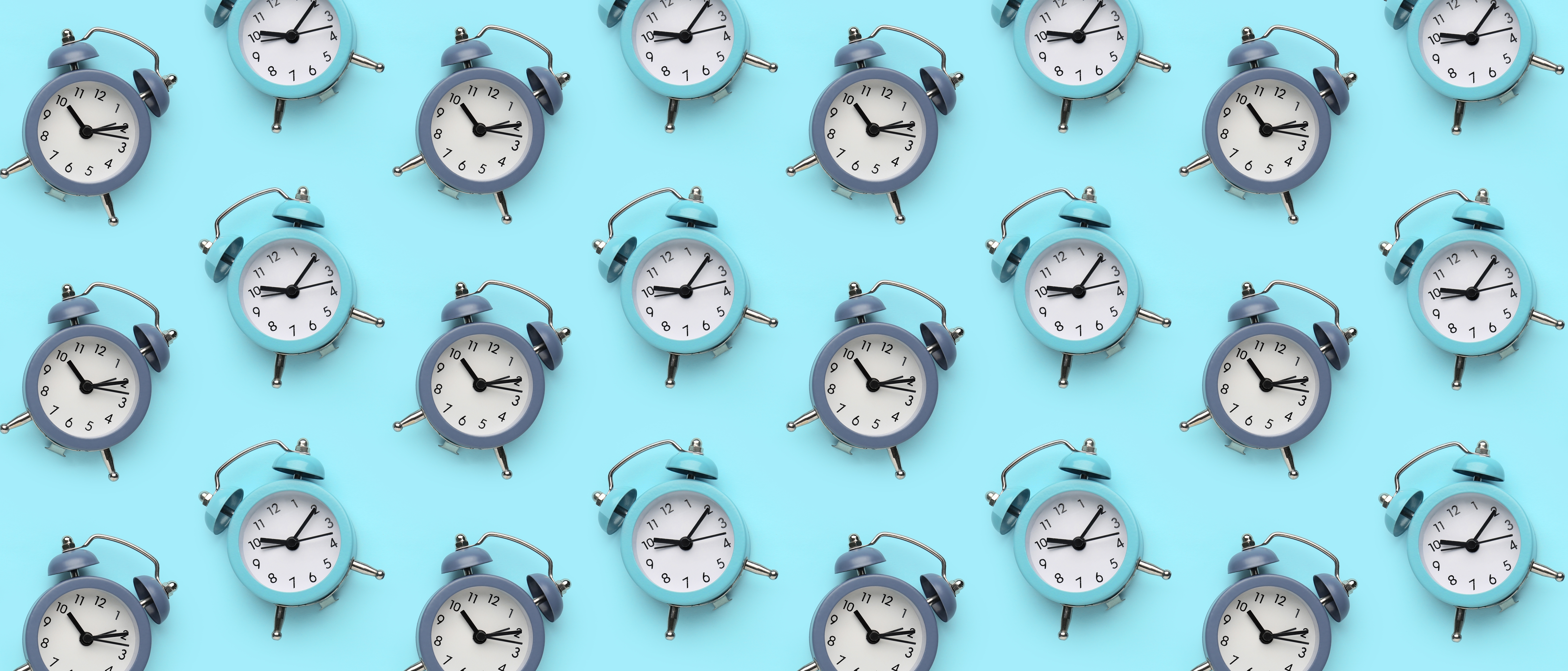 Shutterstock 2546899509