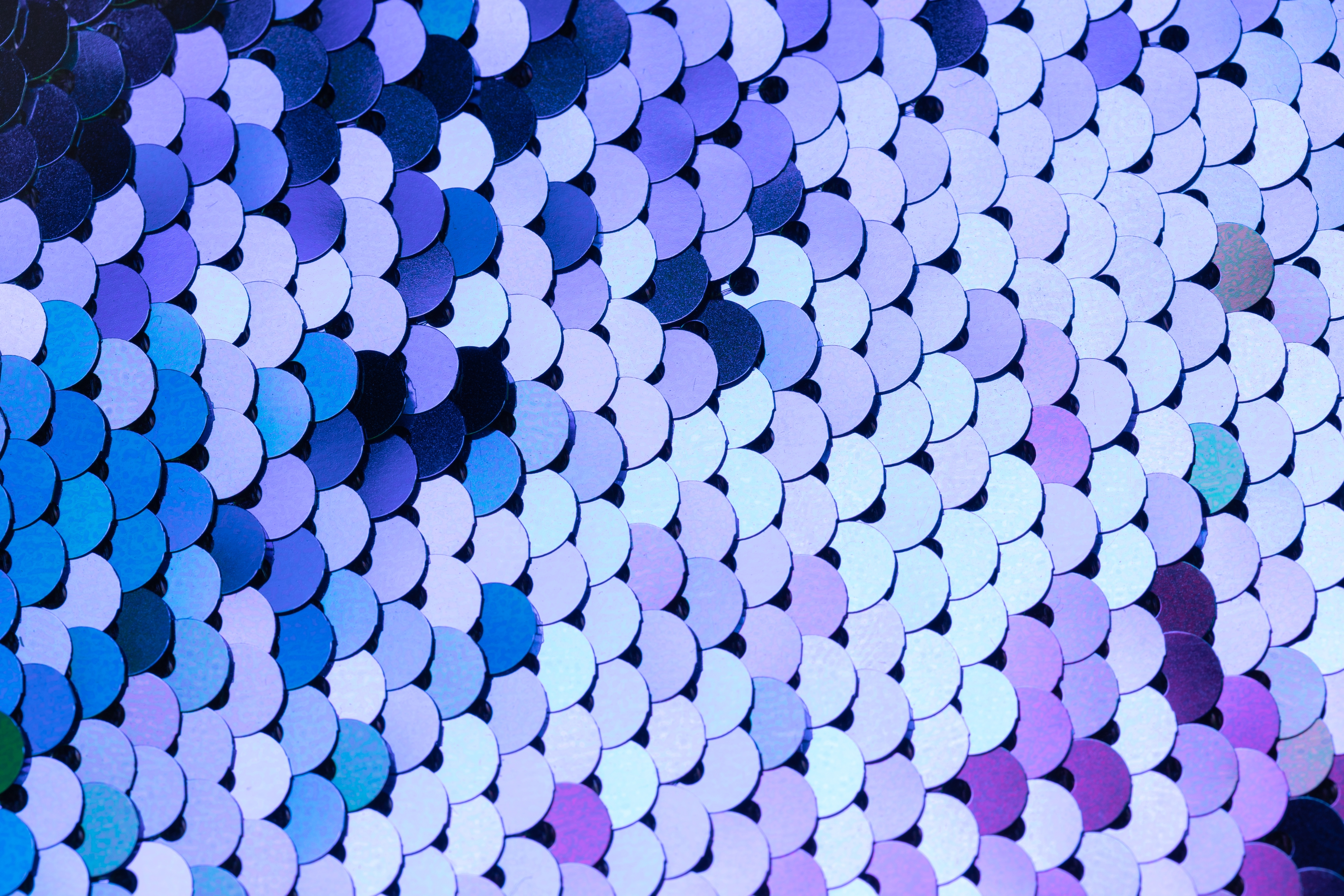 Possible Front Cover Option