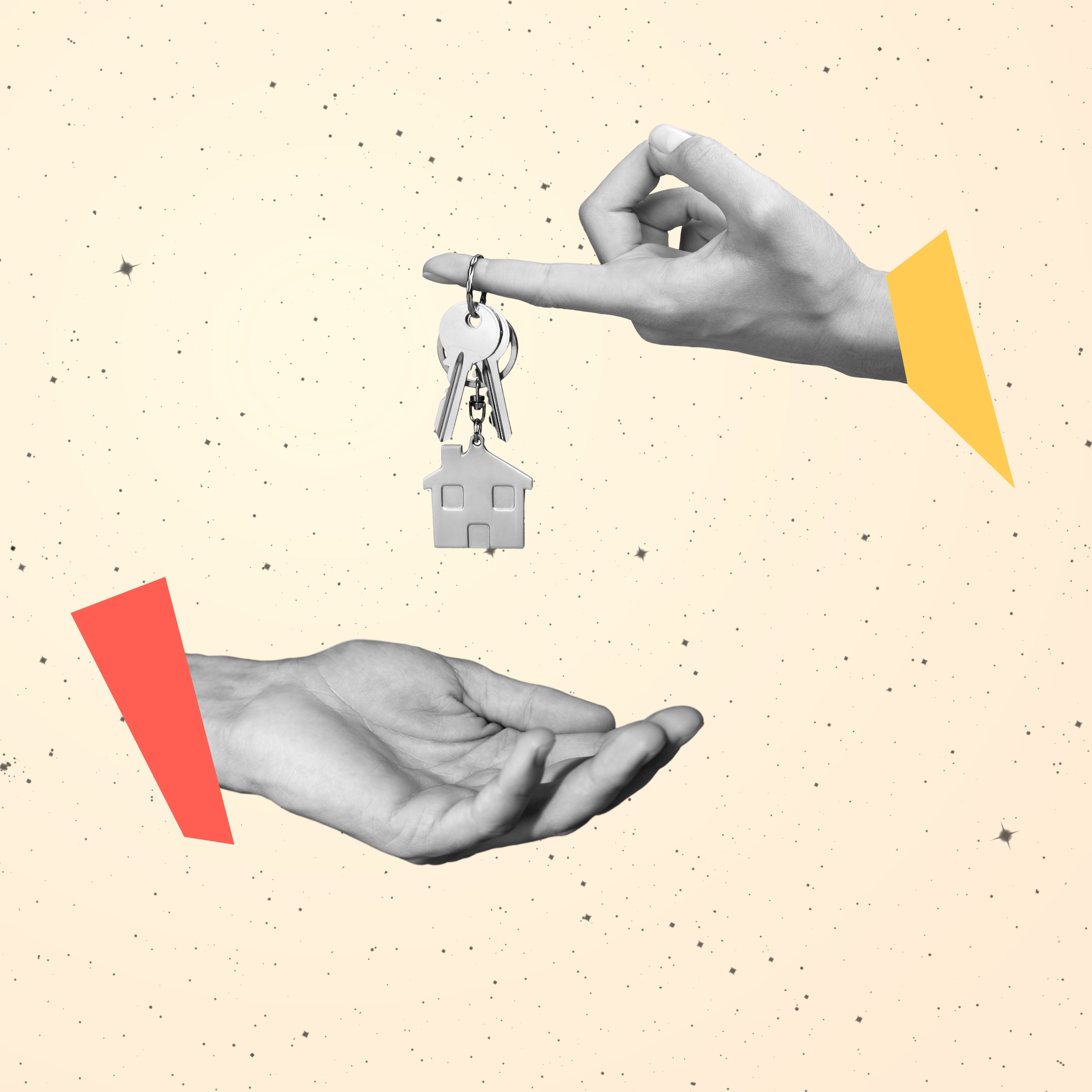 Shutterstock 2247236923