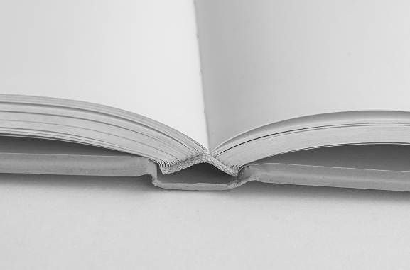 Pages of a book open